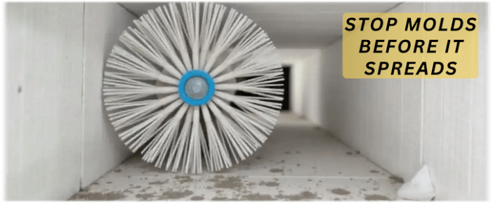 Air Duct Mold Removal in Murrieta