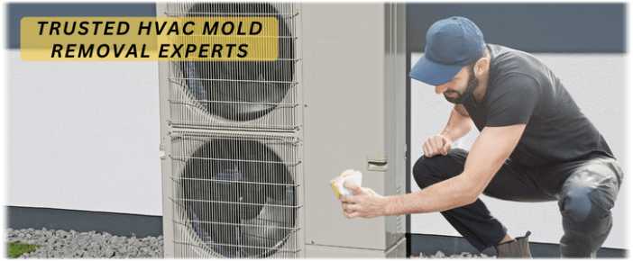 HVAC Mold Removal Murrieta